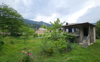 For Sale House Villa Kvibisi Borjomi Samtskhe   Javakheti