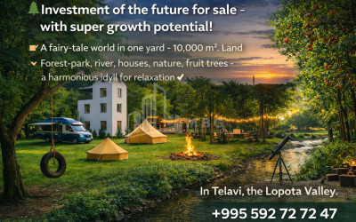 Business/Investment for Sale Leisure _ Entertainment complex Commercial In Telavi