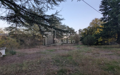 For Sale Commercial Akhmeta Kakheti