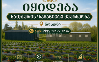For Sale Farm Greenhouse Land In Nosiri, Senaki