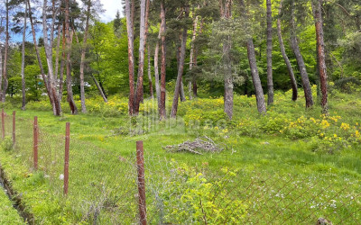 იყიდება სააგარაკე მიწის ნაკვეთი, ონი