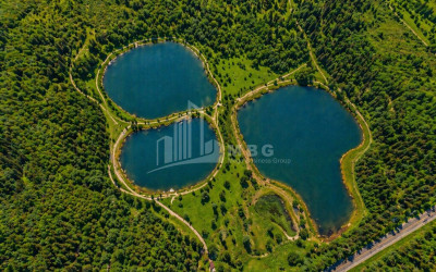 იყიდება კომერციული - არასასოფლო მიწის ნაკვეთი კახეთში