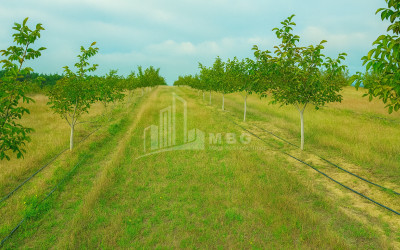 იყიდება მიწის ნაკვეთი ხაშური შიდა ქართლი