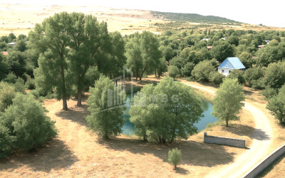 For Sale Land Kekhijvari Kareli Shida Kartli