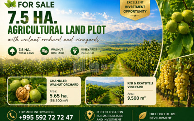 იყიდება ხეხილის ბაღი მიწის ნაკვეთი წინანდალში, თელავი