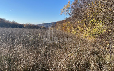Продается Земля Базалети Душети Мцхета   Мтианети
