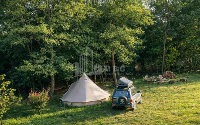 Business for sale Commercial Telavi Kakheti