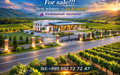 For Sale Chateau / Wine factory Commercial In Kvareli