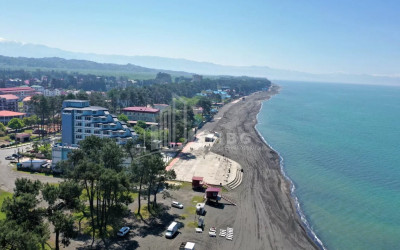 For Sale Land Daba Ureki Ozurgeti Municipalities of Guria