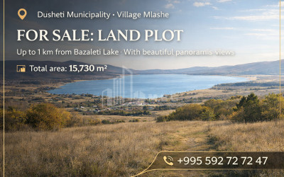 For Sale Country Land In Bazaleti, Dusheti