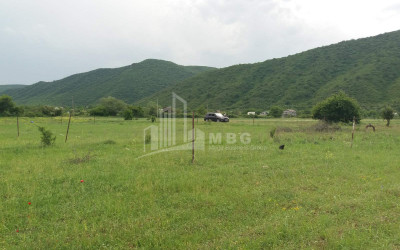 For Sale House   Villa, in Aragvispiri