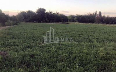 For Sale Land Mukhrani Mtskheta Mtskheta   Mtianeti