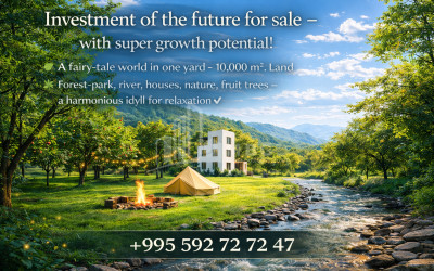 Business/Investment for Sale Leisure _ Entertainment complex Commercial In Telavi