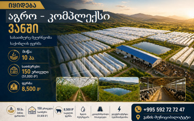 იყიდება სასათბურე მიწის ნაკვეთი ვანში