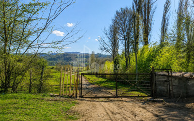 For Sale Orchards Land In Abasha