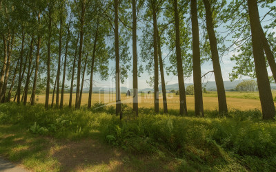 For Sale Land Ghuleli Tianeti Mtskheta   Mtianeti