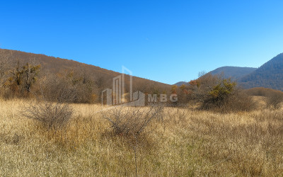 იყიდება მიწის ნაკვეთი ახალსოფელი თიანეთი მცხეთა   მთიანეთი