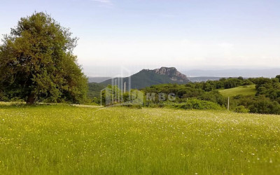 For Sale Construction - Investment Land, in Tetritskaro
