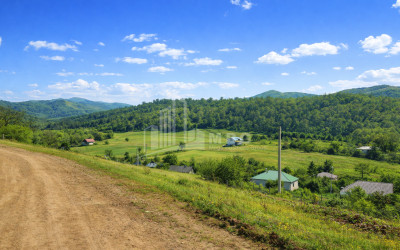 For Sale Land Zemo Gostibe Kaspi Shida Kartli