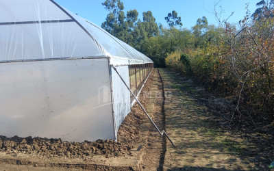 For Sale Land, Nosiri, Senaki, Samegrelo