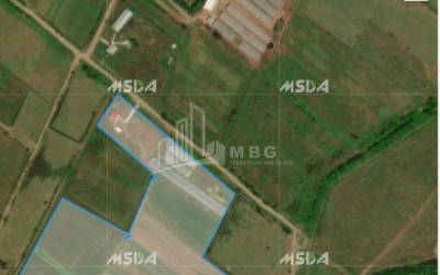 For Sale Land Vartsikhe Baghdati Imereti