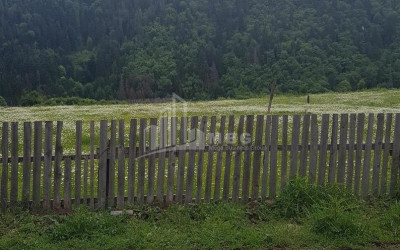 იყიდება სააგარაკე მიწის ნაკვეთი, ტბა