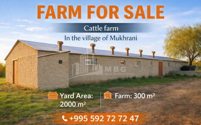 Продается Земля Закаро Мцхета Мцхета   Мтианети