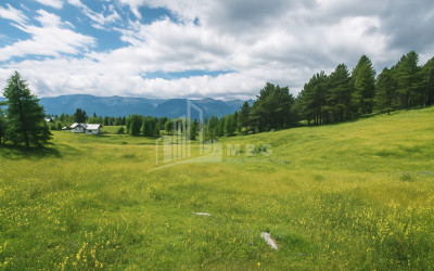 For-Sale-Land-Abastumani-Adigeni-Samtskhe---Javakheti
