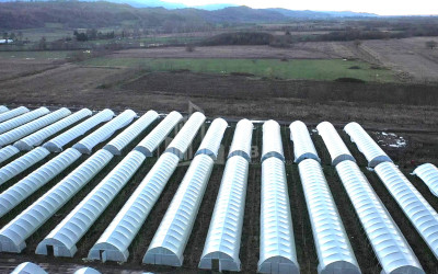 For Sale Land Vani Imereti