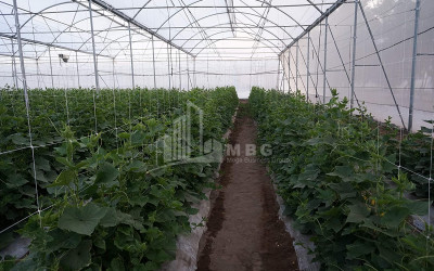 Продается Земля Марнеули Квемо Картли