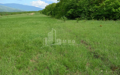 For Sale Country Land, in Village Baga