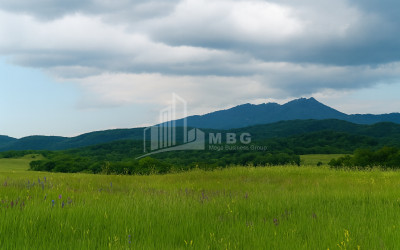 Продается Земля Гомбори Сагареджо Кахети