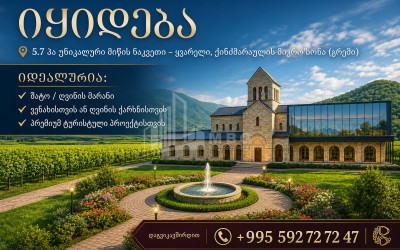 იყიდება სავენახე - საშატოე მიწის ნაკვეთი გრემში, ყვარელი