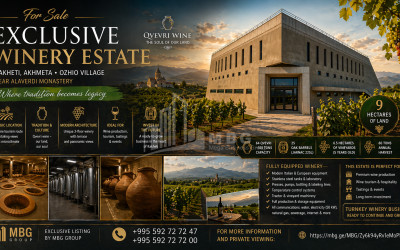 Продается Замок / Винный завод Коммерческий В Охио, Ахмета