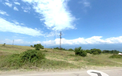 Продается Земля Телави Кахети