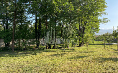 იყიდება ბიზნესი კომერციული ფართი თელავი კახეთი