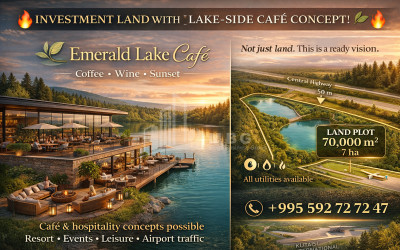 იყიდება საწარმოო/სასაწყობე ფართი, საქმიანი ეზო კომერციული ფართი, მეტეხი