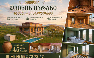 Продается Замок / Винный завод Коммерческий В Хашми, Сагареджо