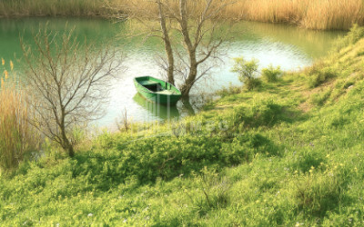 For Sale Land Gachiani Gardabani Kvemo Kartli