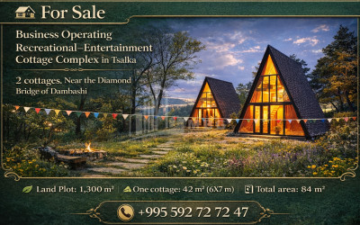 იყიდება ახალი აშენებული სახლი - აგარაკი წალკაში