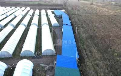 For Sale Land Vani Imereti