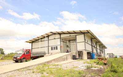 For Sale Orchards Land In Senaki