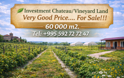 Продается Земля Деревня Звани Озургети Муниципалитеты Гурии