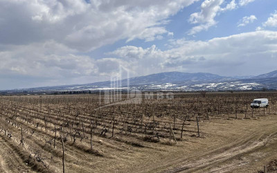 For Sale Land, Akhmeta City, Akhmeta Municipality, Municipalities of Kakheti