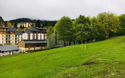 For Sale House - Villa, in Bakuriani