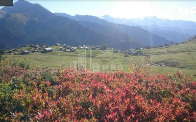 იყიდება სააგარაკე მიწის ნაკვეთი, წვირმი