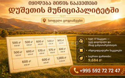 იყიდება სააგარაკე მიწის ნაკვეთი გოჯიაანებში, თიანეთი