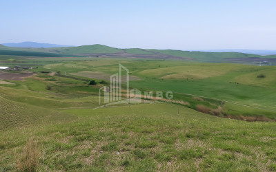 For Sale Land Kvemo Bodbe Signagi Kakheti