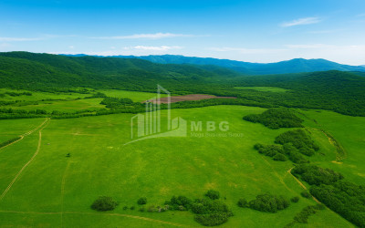 Продается Земля Гомбори Сагареджо Кахети