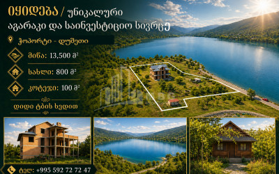 Продается Старое здание Дом - Вилла В Село Чопорте, Душети